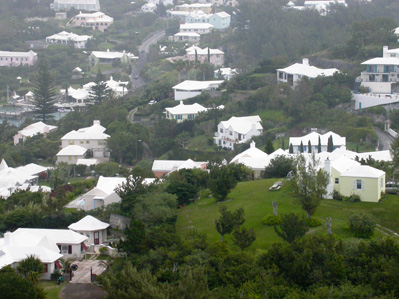 development is probably the biggest threat for Bermuda's native flora