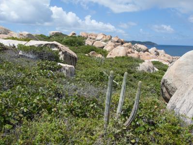 Fallen Jerusalem, BVI