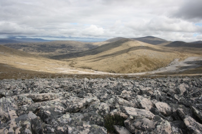 West Falklands