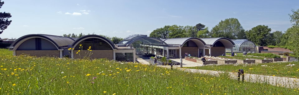 A wild flower meadow leading down to a wide single story building with 5 curved roof sections and a greenhouse at the end