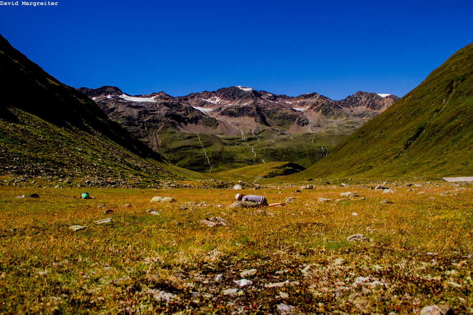 A seed collector kneeling close to the ground in a valley surrounded by snow topped mountains
