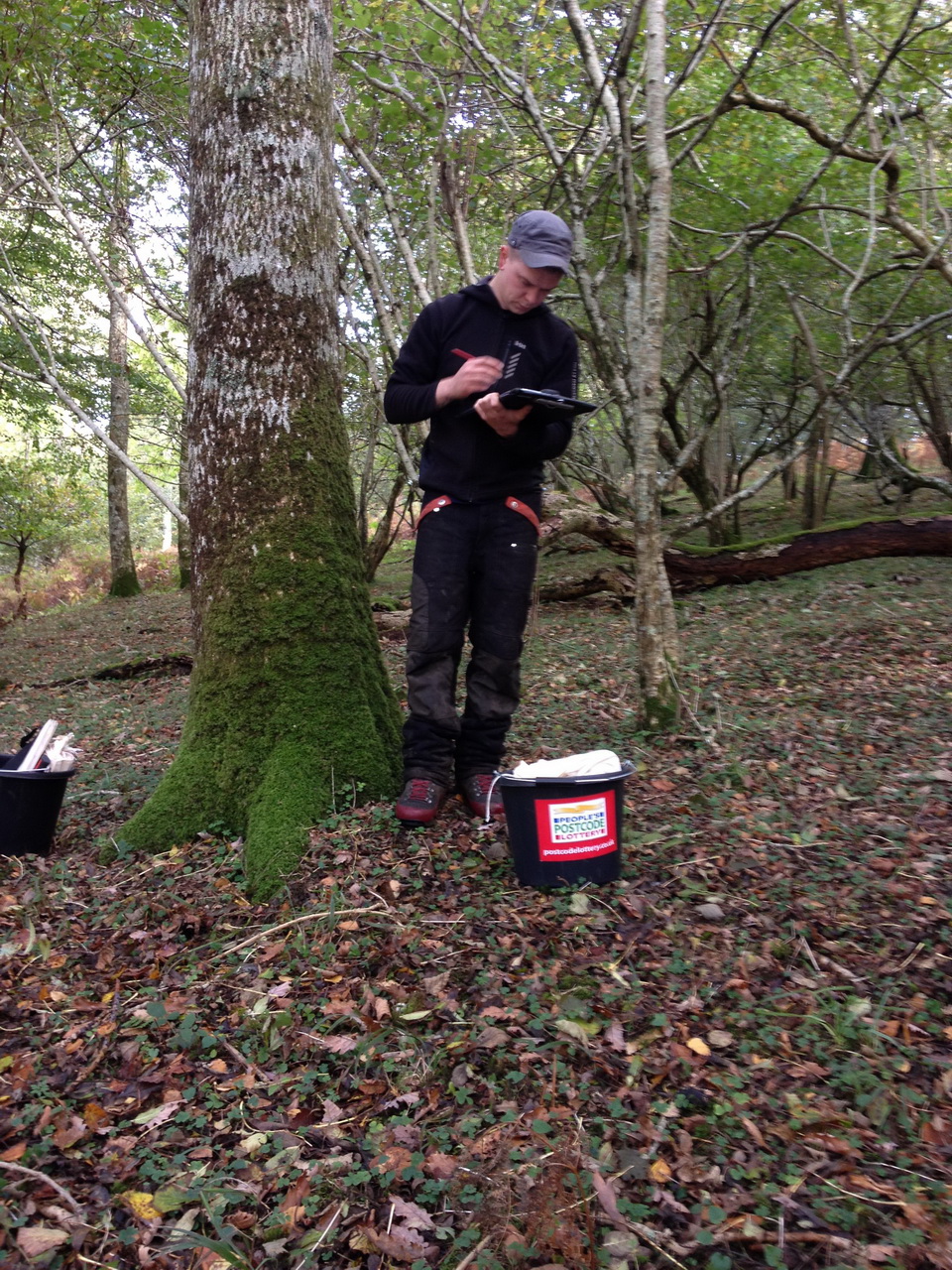 A seed collector standing in a woodland writing on a clipboard