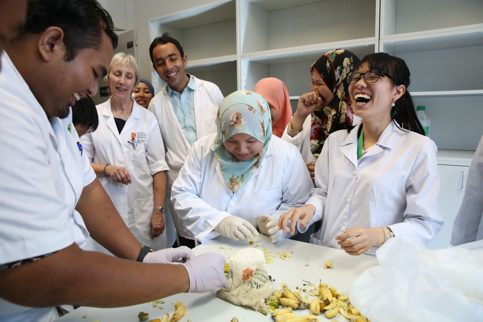 Training course participants wearing white lab coats stood around a table which has wild bananas on