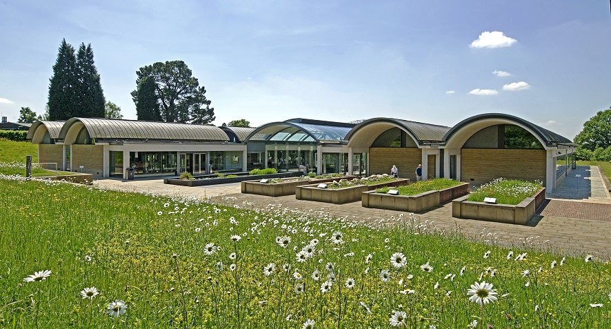 Four rectangular raised beds in a row infront of a large building. Each of the raised beds has something different growing in it. One is covrered in white flowers, one has a row of chalk rocks running down the centre and one is covered with shingle. On the end is a slightly lower raised rectangle which contains a pond with vegetation growing in it