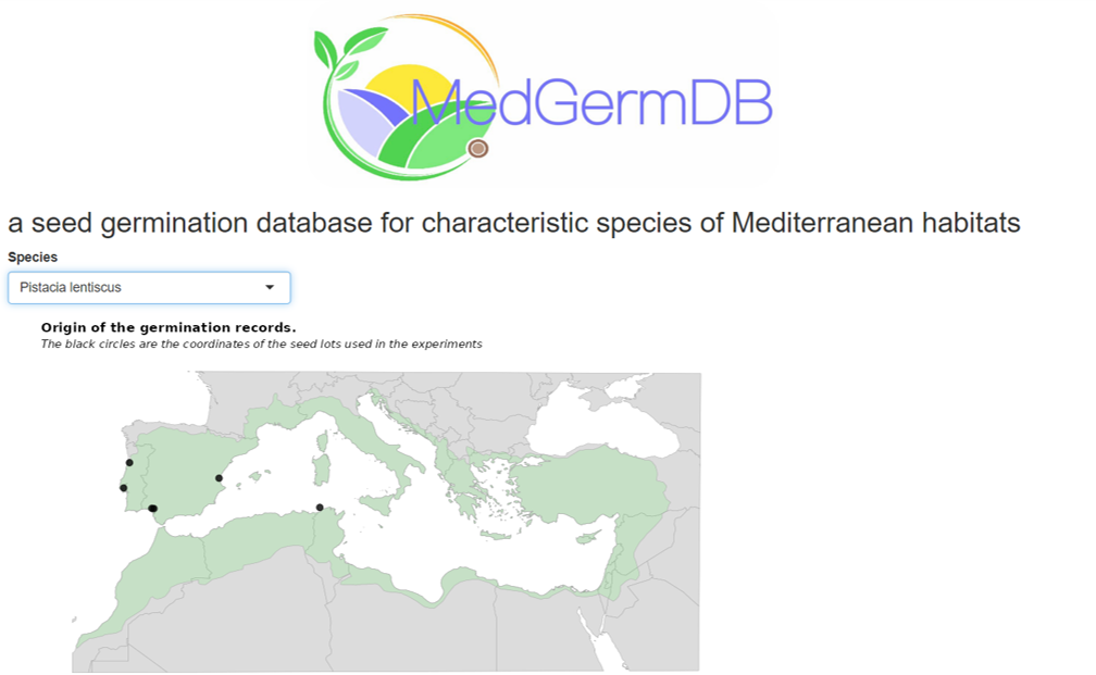 Screenshot of the MedGerm DB Shiny app interface. There is the MedGermBD logo at the top then a row of text which reads 'a seed germination database for characteristic species of Mediterranean habitats'. Below this is a dropdown menu option allowing the user to select a species Pistacia lentiscus is currently selected. Below the menu is text reading 'Original of the germination records. The black circles are the coordinates of the seed lots used in the experiments'. Below this is a map with black circles predominantly located in Spain, France and Italy.