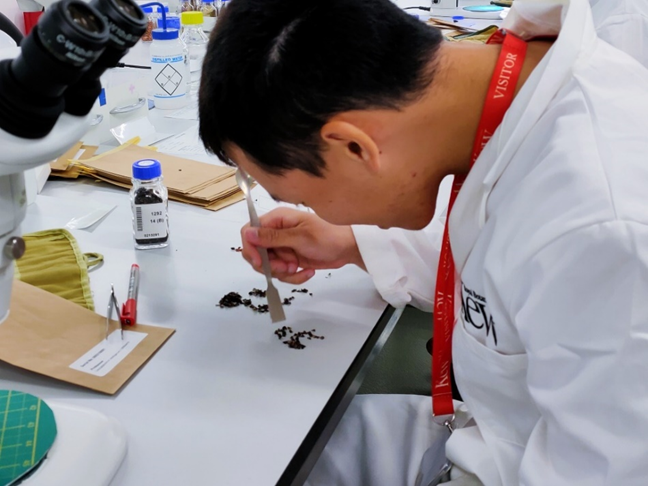 A scientist in a lab coat is leaning over a work bench and focusing on small, black objects, using a metal utensil to separate the objects. A microscope can be seen just to his left and lab equipment is across the workbench, including a glass vile, tweezers and brown paper bags.