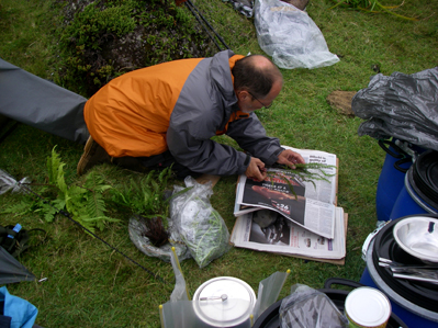 Nick Gremman surveying invasive plants