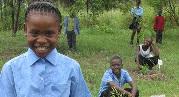 School children with the useful plants they planted in their medicinal gardens, Mpithi primary school in South Africa