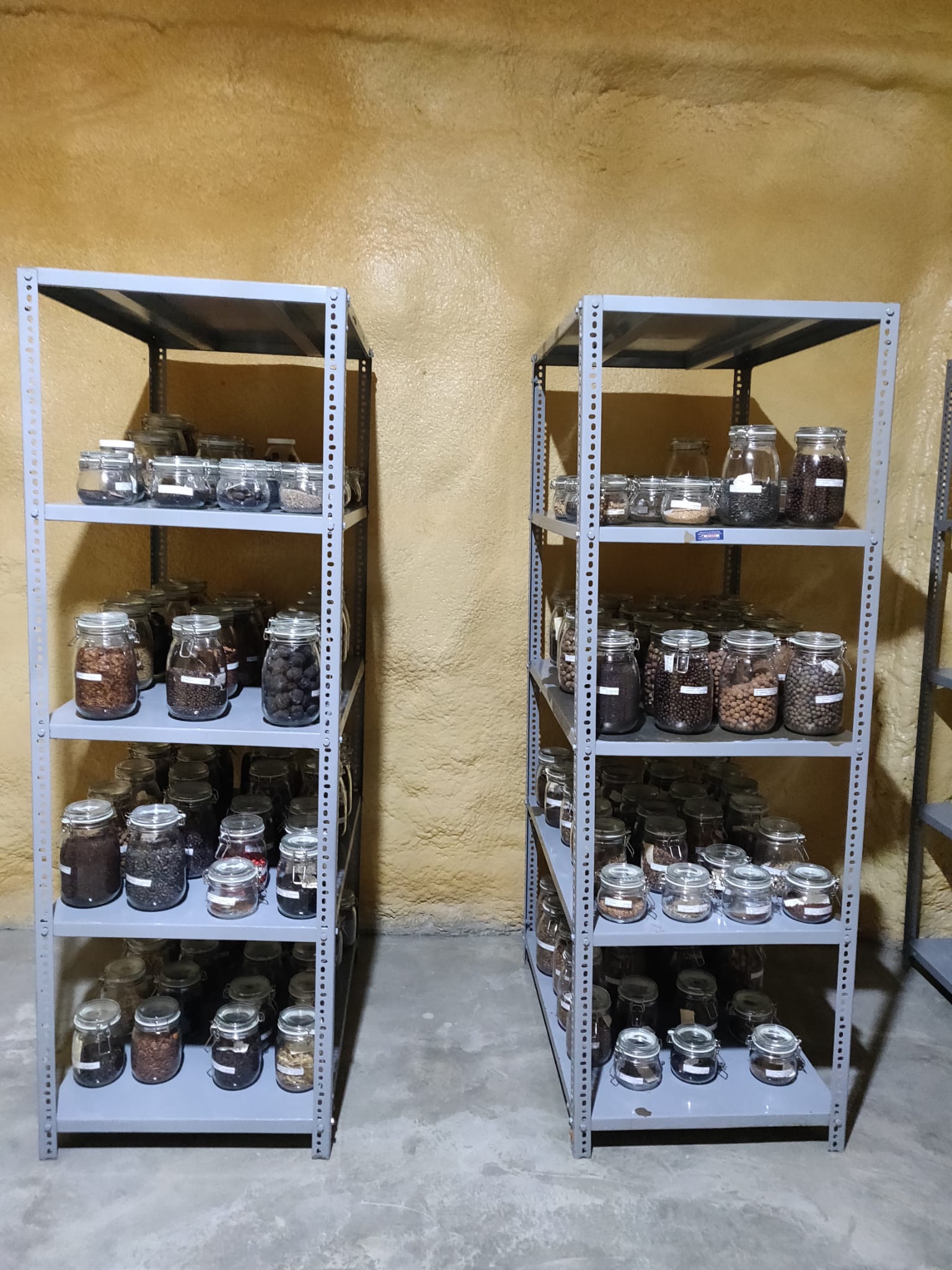 Many rows of jars full of various seeds sit on shelving