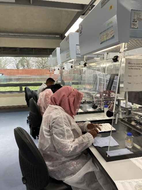 Three people sit in a row, each one wearing white lab coats and leaning into a fiberglass hood, as they work with seeds and use laboratory equipment