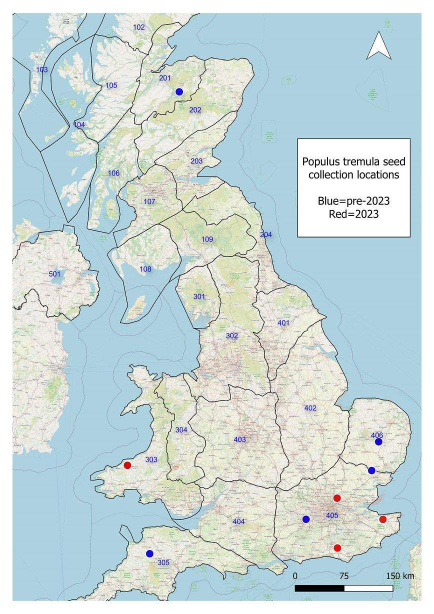 The UK map has 5 blue spots on it indicating collections made prior to 2023, these are in seed zones 305, 405, 406 and 201. There is also one on the boundary of 405 and 406. There are also four red dots on the map showing the location of 2023 seed collections, there are 3 within seed zone 405 and one within seed zone 303.