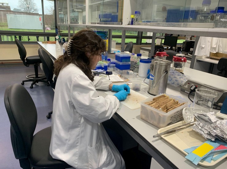 Elena wearing a lab coat and blue safety gloves sat at a science bench. On the bench in front of her is a chopping board and a plastic tub full of brown envelopes