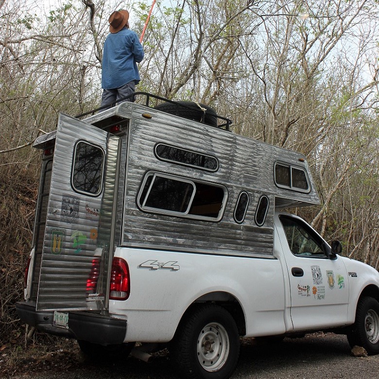 A white 4x4 truck with the back modified with a camping attachment. A rock has been placed behind the front wheel and a person is stood on top of the camping section with a pole pruner seed collecting from a tree