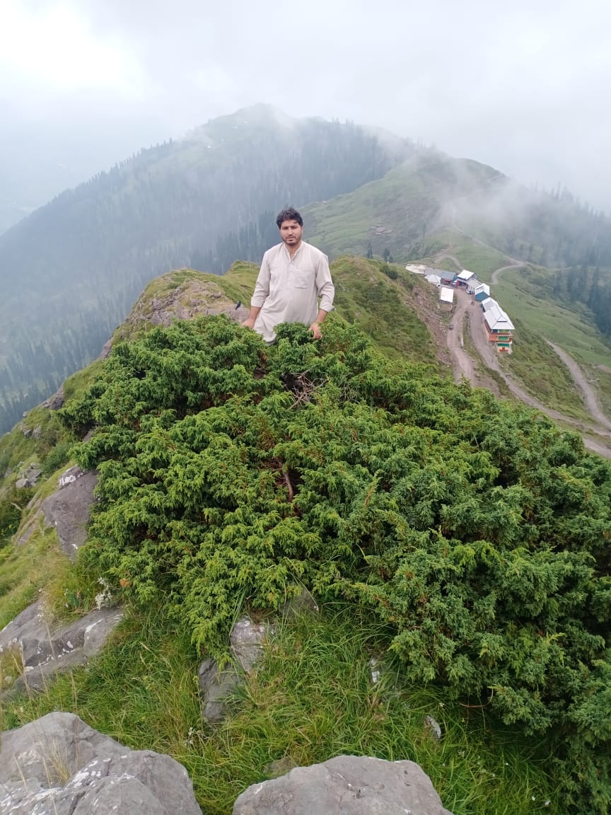 A man standing at the top of a steep mountain ridge slope. In front of him, a wide and prickly bush of Juniperus species