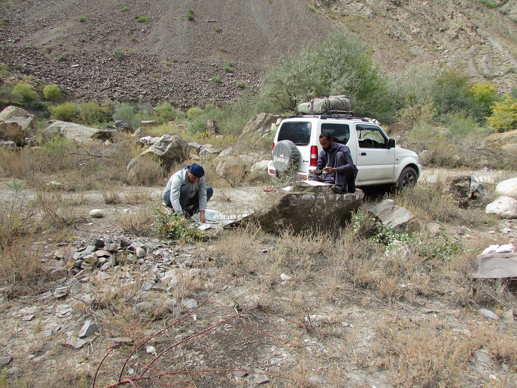 A rocky site with a scree slope in the background. There are several brown shrubs in the foreground and a row of greener shrubs behind. A 4x4 car is parked and two men are infront crouched down working with the plants