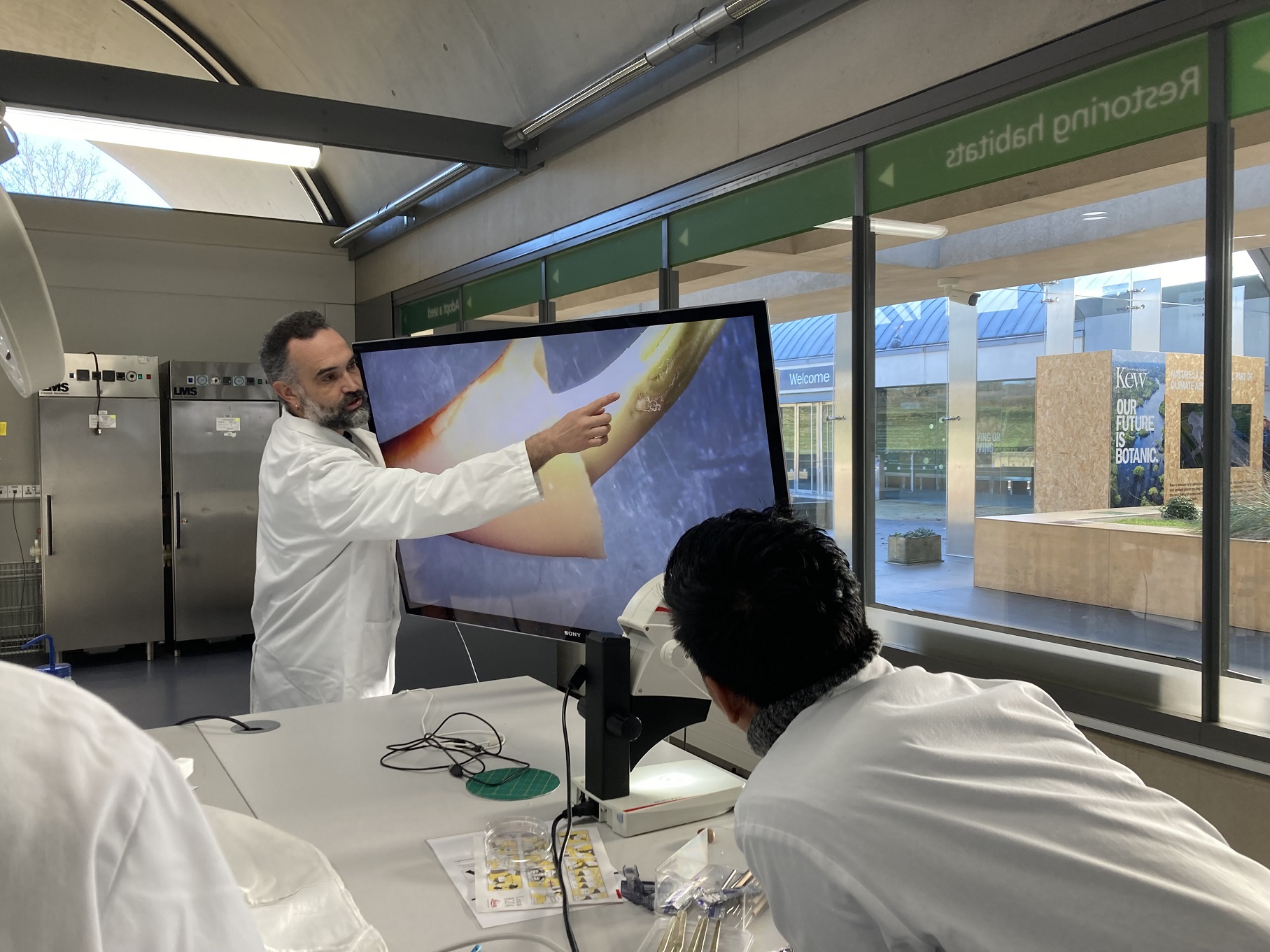 Lecturer Dr Dani Ballesteros gestures to a large monitor screen displaying an excised embryo of an Aesculus hippocastanum seed