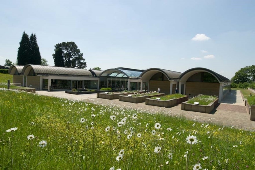 The front of the MSB on a sunny day, with blue skies and the meadow in flower with Ox-eye daisies.