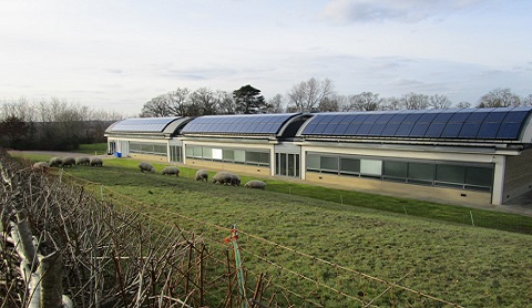 The long side of the MSB with the curved roof covered in rows of solar panels. Infront of the MSB is a fenced meadow with black sheep in.