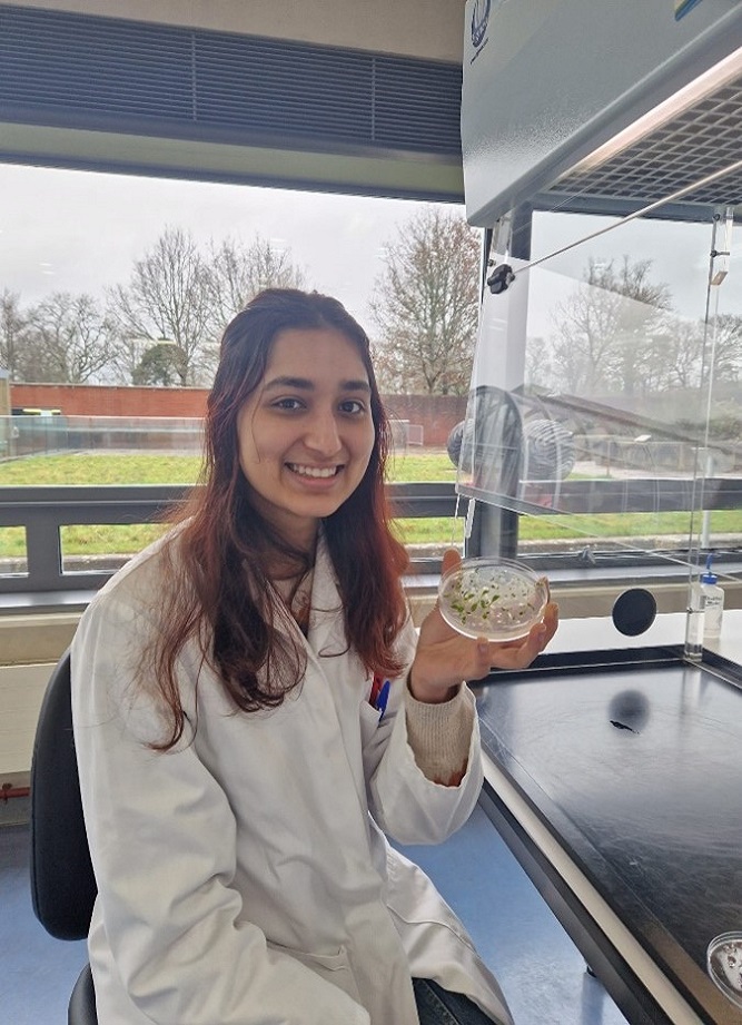 Leela wearing a lab coat sat next to a fume hood. She is smiling and holding a petri-dish. The petri dish contains several small germinated seedlings.