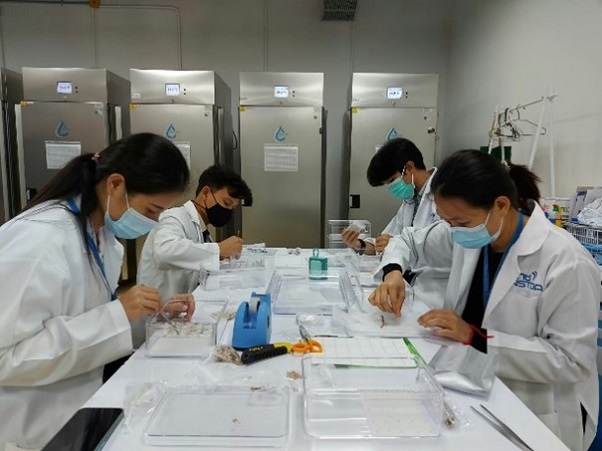 Four seed scientists stood at a bench each working with tweezers in a plastic box. They are all wearing white lab coats and face masks