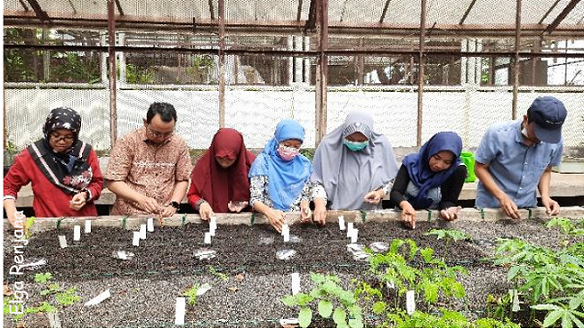 A row of seven people stood behind a raised seed bed sowing seeds into the compost. In front of some of them are rows of plant labels