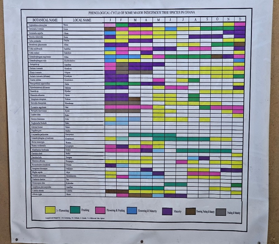 A spreadsheet with columns for botanical name, local name, and then each month of the year running from January to December. For each of the botanical names the months of the year cells are colour coded