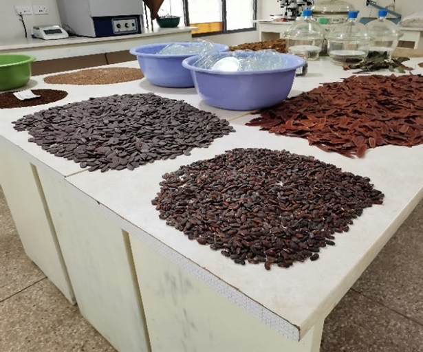 A white laboratory bench with distinct piles of different seeds laid out in a thin layer. The seeds vary in colour and size
