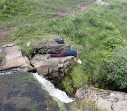 Tim lying down on the edge of a rock, collecting seeds from a grassy bank underneath the rock. A waterfall flows over the rocks next to him.