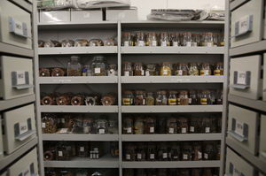 A shelving unit full of glass jars with seeds in
